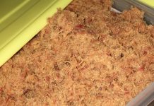 YADDA AKE HADA DAMBUN KAZA { CHICKEN FLOSS}