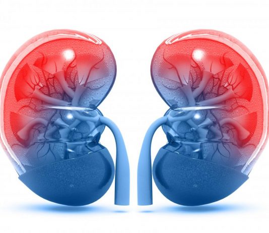 Nau’ukan abinci hudu (4) da ya kamata mu kauracewa cin su kafin barci domin kare kodar