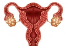 Bayanai Akan Daukewar Al’ada (Menopause)