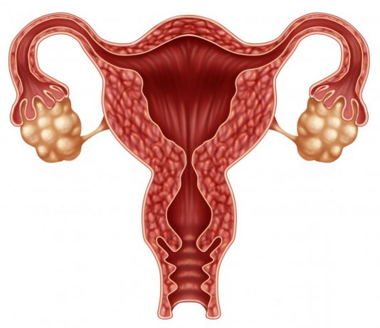 Bayanai Akan Daukewar Al’ada (Menopause)