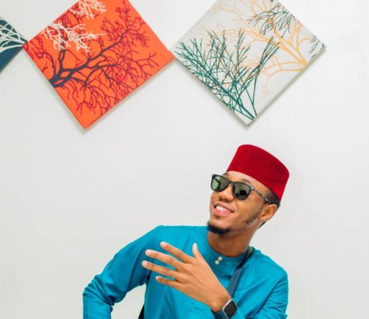 Takaittacen Tarihin Mawaki Ahmad gambo salman watto Ahmerdy