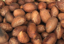 Fa’idodin kiwon lafiya 7 Da Namijin Goro Ke dashi.