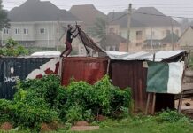 An sha alwashin kawar da masu aikata laifi da suka mamaye’ gonakin Cashew da ke Abuja.