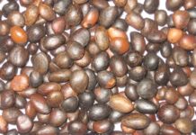 MAN ALAYDI DA ANFANIN SA.