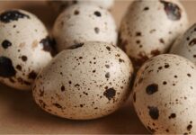 The nutritional value of quail eggs.