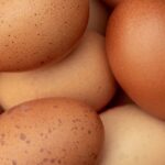 EATING EGGS AND IT’S BENEFITS TO THE BODY.