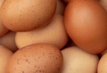 EATING EGGS AND IT’S BENEFITS TO THE BODY.