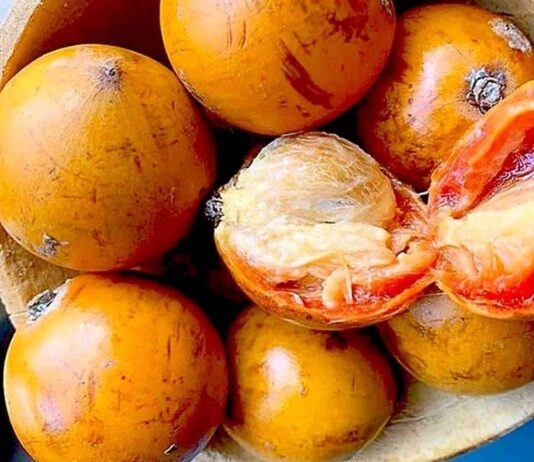 Anfanin Agbalumo ga jikin dan Adam.