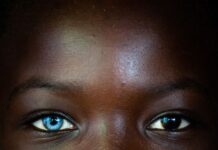 Bayyanai game da lalluran chemerism