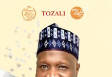 TOZALI TV LAUNCHES DSTV ONBOARDING WITH EXCITING 7TH HENNA BALL AND AWARDS