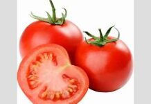 TOMATOES FOR SKIN