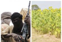 Yan bindiga sun kashe mutane uku a jahar Gombe tare da lalata anfanin gona.