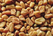Fenugreek for smooth silky hair