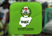 Confusion as INEC declares NNPP Candidate as winner of Kano Central Senatorial seat.
