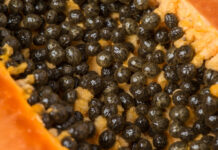 Yayan Gwanda Ga Masu Ciwon Suga: Fa’idodi, Illansa Da Yadda Ake Cin sa