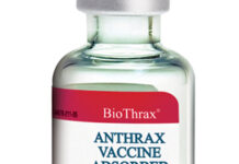 An fara yin allurar rigakafin shanu domin kiyaye kamuwa da cutar Anthrax.