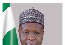 We’ll Soon Fix Date For Local Govts Election – Gombe Governor
