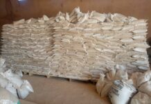 Tallafin Inuwa Ya Kai Ga Ƙananan Hukumomin Ɓilliri, Kaltungo da Yamaltu Deba