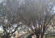 Fashewar wani bolan karfe a Maitama ba shi da alaka da bam;In ji Rundunan Yan Sandan Najeriya.